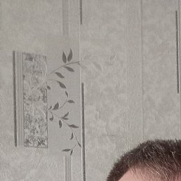 �������, ������, 49 ���