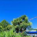 ���� �������, ����� - ��������� 4 �������� 2025 � ������ ���� ����������