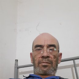 , 56, 