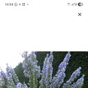 ���� Gegam, �����-���������, 56 ��� - ��������� 12 ������ 2025 � ������ ���� ����������