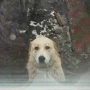 ���� ���� �������, ������, 45 ��� - ��������� 14 ��� 2025 � ������ ���� ����������