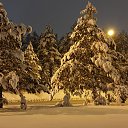 ���� ����, �������� - ��������� 22 ������ 2024 � ������ ������