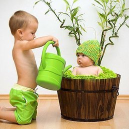 �������, ������, 41 ���