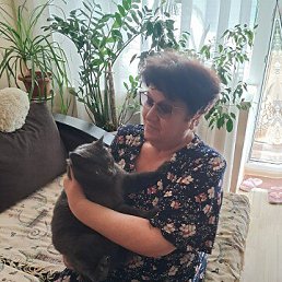 , 61, 
