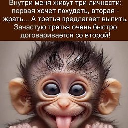 �����, ����, 62 ����