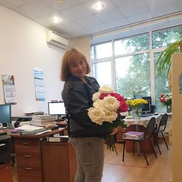 �������, ������, 48 ���