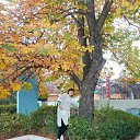 ���� ������, ������, 51 ��� - ��������� 8 ������� 2025 � ������ ���� ����������