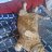 ���� �ndy � ������, ������ - ��������� 10 ������ 2026