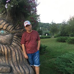 , 64, 