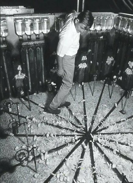 ,          .  1968   ... - 2