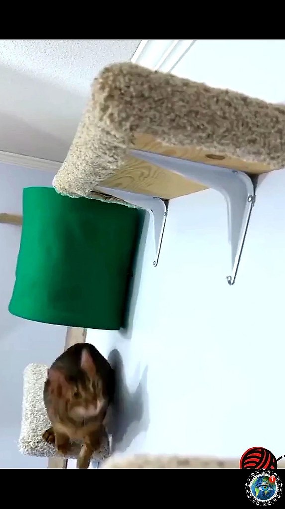 oa  o-acoe coae coe o eae co  cac! - 2