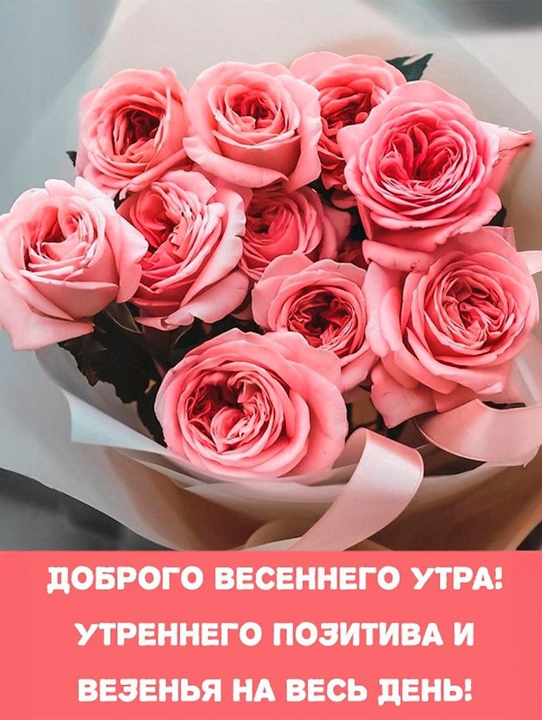 ����������� � ���������, �������� �� ������ ����. - 17 ������ 2026 � 00:17