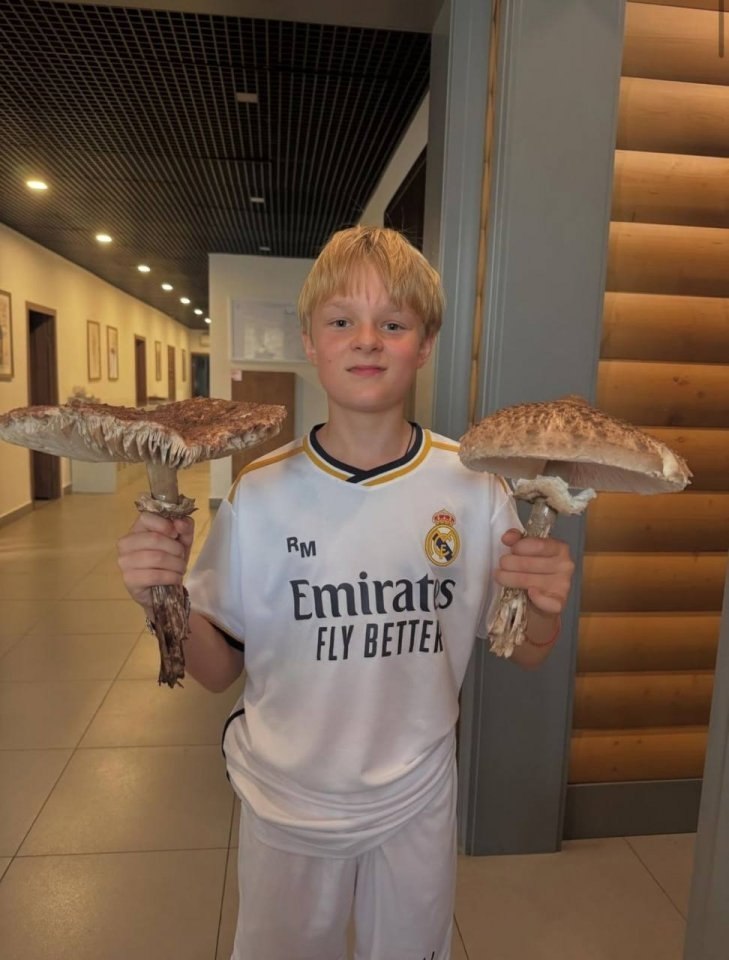 12-        ,    , ...