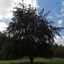 ���� Alexander, ������, 62 ���� - ��������� 1 ������� 2023 � ������ �������
