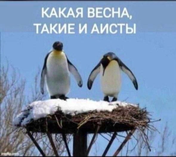 :)