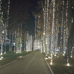 Jams, ����, 48 ���