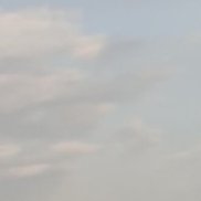 �������, 38 ���, ������