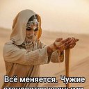 ���� �����, ������, 52 ���� - ��������� 11 ������ 2026