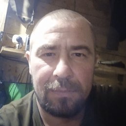 ������, �������, 41 ���