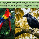 ���� �����, ������ - ��������� 29 ����� 2026 � ������ ������ ��������