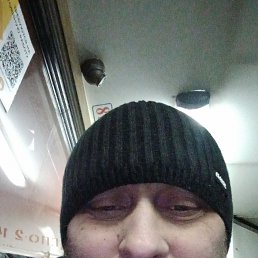 ����, 42 ����, ���������