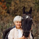 ���� �������, �����, 50 ��� - ��������� 28 ������� 2023 � ������ ���� ����������