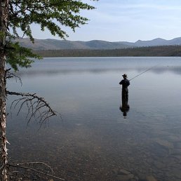 �������, ������, 31 ���