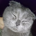 ���� �������, ������ ��������, 37 ��� - ��������� 20 ������ 2023 � ������ ���� ����������