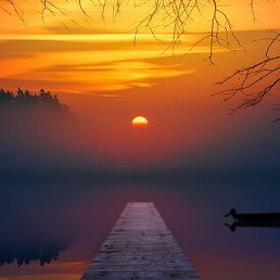 ��������, ������, 63 ����