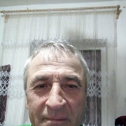 , 61, 