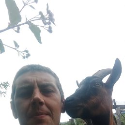 ����, ������, 39 ���