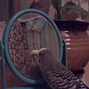 ���� ����, ����, 40 ��� - ��������� 20 ������ 2025 � ������ ������ ��������