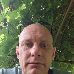 , 41, 