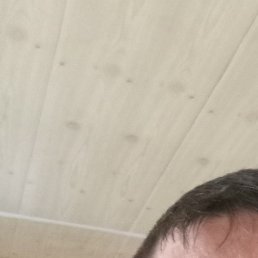 �������, ������, 39 ���