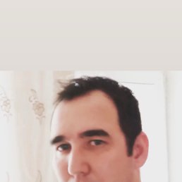 ���� �����, ������, 34 ���� - ��������� 2 ���� 2024