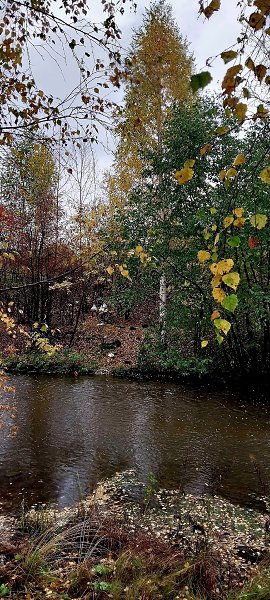 ���������, ���� �������... - 4