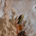 ������ 2026 �� ������� ���� ����������