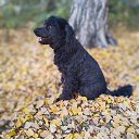 ���� ������, ������������, 47 ��� - ��������� 14 ������ 2025 � ������ ������ ��������