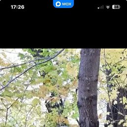 �������, ���, 63 ����
