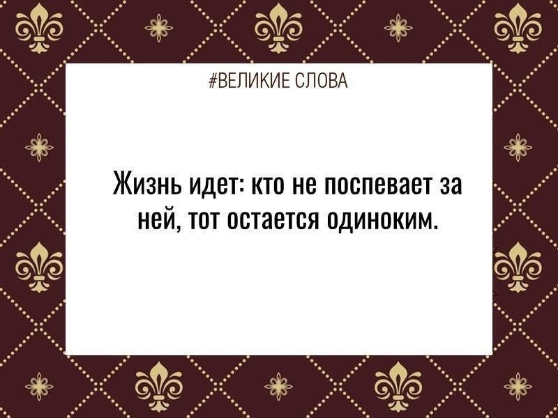   | ,    - 17  2024  15:55
