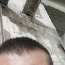 ���� ����������, ������, 40 ��� - ��������� 2 ����� 2026 � ������ ���� ����������