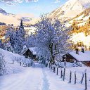  Irina, , 49  -  1  2024    