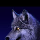 ���� ������, ���������, 23 ���� - ��������� 13 ������ 2024