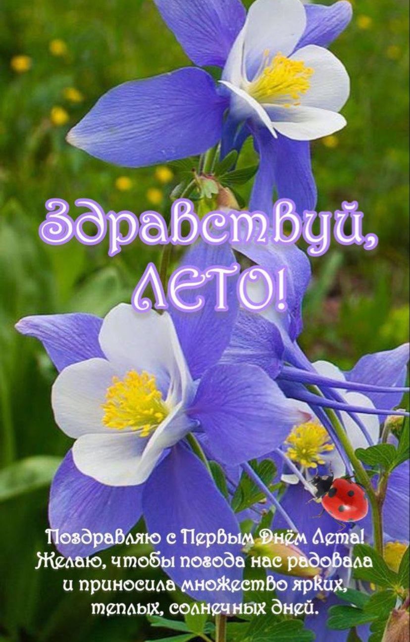  - 1  2025  09:01