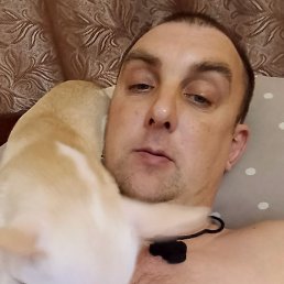 �������, �������, 42 ����