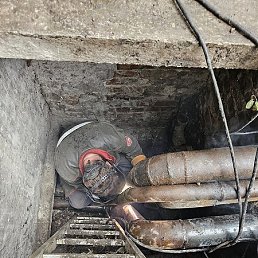 ����, �����������, 55 ���