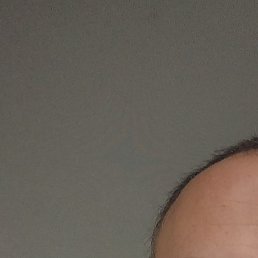 ���������, ��������, 37 ���