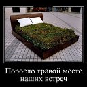 ���� ������, �����������, 57 ��� - ��������� 29 ������ 2024 � ������ ������ ��������