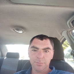 , 29, 