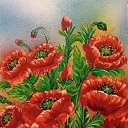 ���� �����, ���������, 72 ���� - ��������� 30 ����� 2026 � ������ ���� ����������